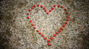 Romantic Heart form Love Seeds