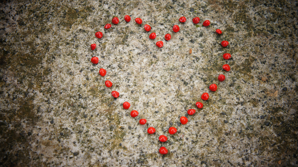 Romantic Heart form Love Seeds